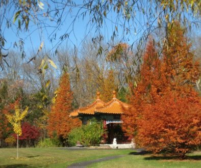 Lasdon_Park_and_Arboretum,_Somers,_NY_-_IMG_1464