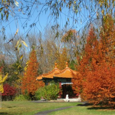 Lasdon_Park_and_Arboretum,_Somers,_NY_-_IMG_1464