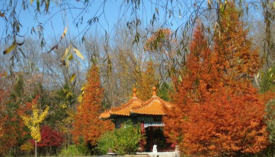 Lasdon_Park_and_Arboretum,_Somers,_NY_-_IMG_1464
